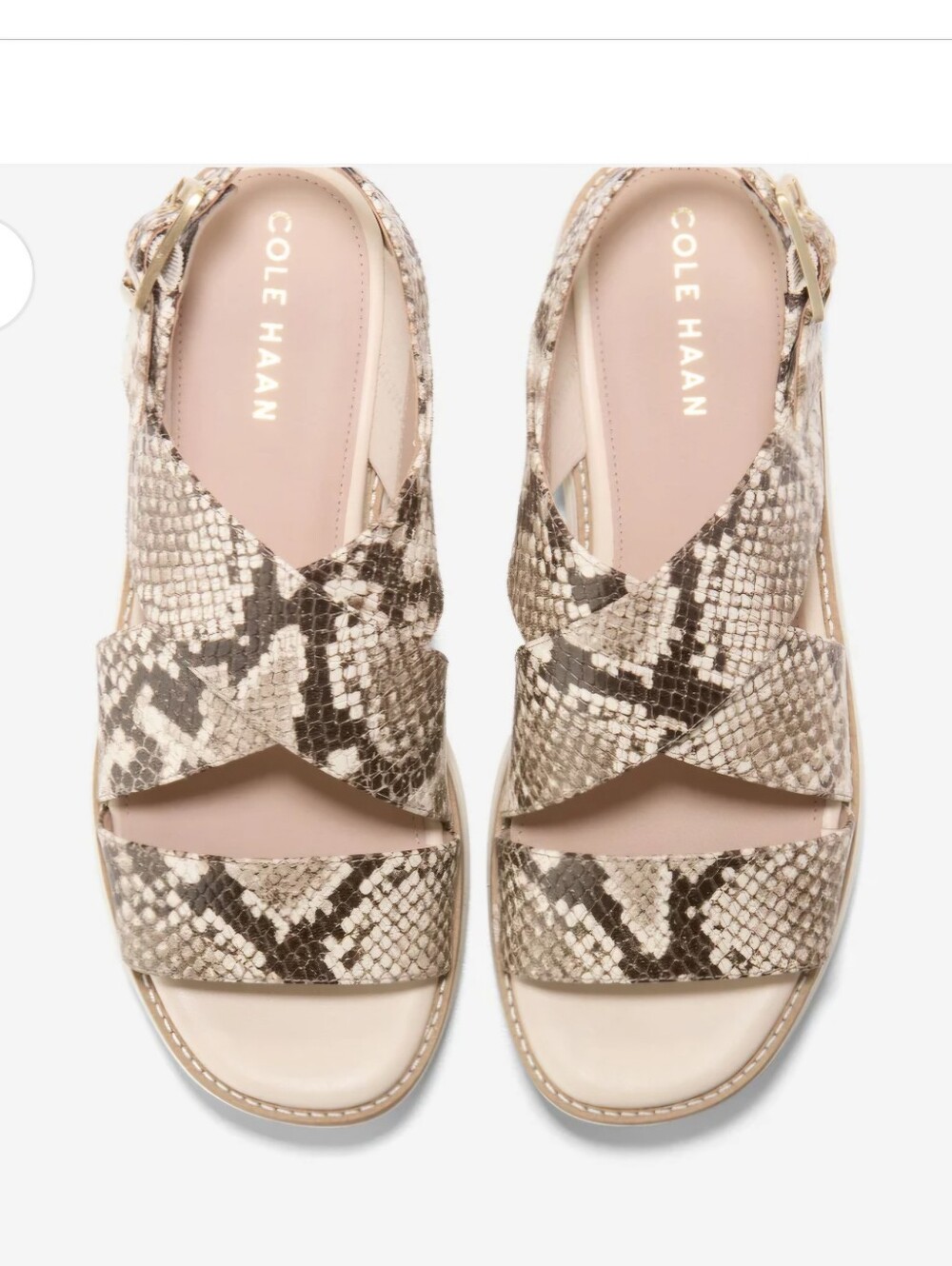 Cole Haan Originalgrand Platform Sandal-Snake-Print Platform-Sz 9